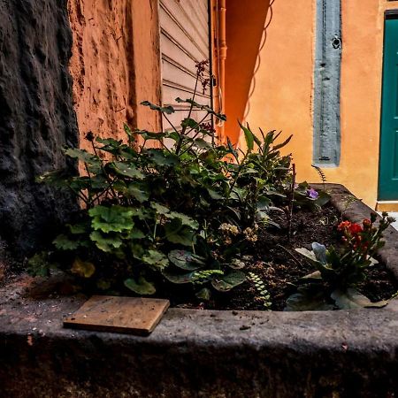 Little House Napoli Daire Dış mekan fotoğraf